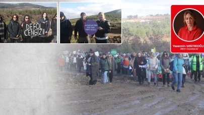 Tanrıların mekanında ağaç katliamı