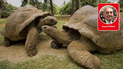 Dr. Yakup Dıvrak yazdı: 155 Yıl yaşayacağım...