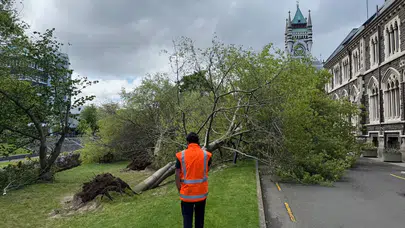 Yeni Zelanda'yı vuran şiddetli rüzgarlar 90 bin evi elektriksiz bıraktı!