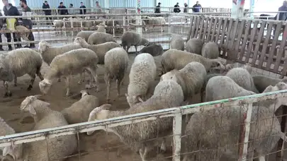 2026 Kurban Bayramı ne zaman? 9 gün tatil olacak mı?