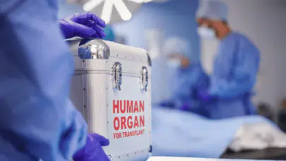 Nakledilen organın hafızası mı var? Hastaların ilginç deneyimleri