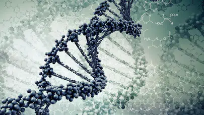 Edinburgh’da 14. yüzyıla ait iskelette Kara Ölüm bakterisi bulundu