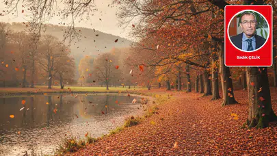 Kasım üzerine: Dökülmenin ve hatırlamanın zamanı