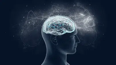 Bilim insanları, bağımlılık riski olmayan doğal ağrı kesici keşfetti