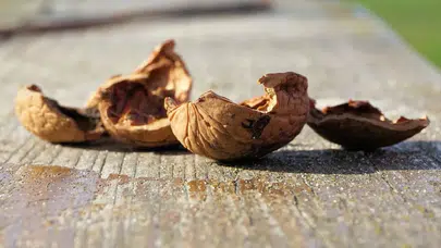 Ceviz kabuğunu sakın atmayın! Evde hayatınızı kolaylaştıracak 6 pratik kullanımı