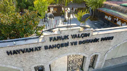 Darıca Hayvanat Bahçesi’ndeki depresif ayı sosyal medyanın gündeminde