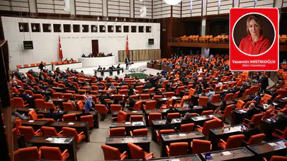 118 kadın vekil, neden o koltuklardasınız hala ?