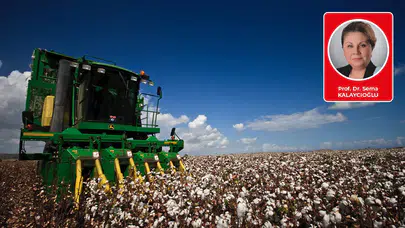 Tarımdaki küçülmeye karşılık ilginç bir sonuç