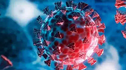 Mutasyona uğradı, güçlendi: H3N2 virüsü Türkiye’de görülmeye başladı