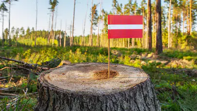 IKEA, iki Avrupa ülkesinden orman satın aldı