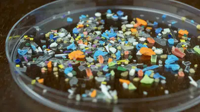 Japon bilim insanlarından mikroplastik sorununa önemli çözüm