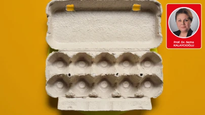 Prof. Dr. Sema Kalaycıoğlu yazdı: Yumurta