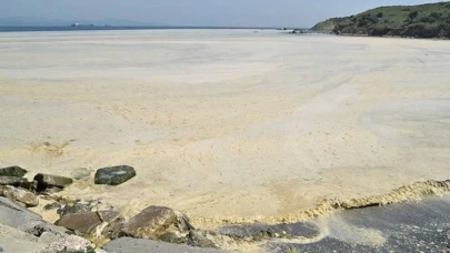 Marmara Denizi'nde müsilaj tehdidi: Deniz kirliliği tırmanışta!