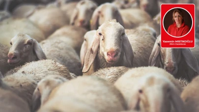 Yasemin Mıstıkoğlu yazdı: İklim krizi nedeniyle kurban kesmek yasaklandı