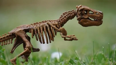 Yeni bir dinozor türü keşfedildi: Duonychus Tsogtbaatari iki parmaklı pençelere sahip