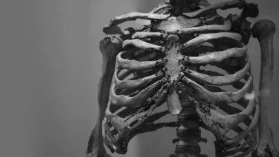 Facebook’ta insan kemikleri satışı: Kafatası, kaburga, omur