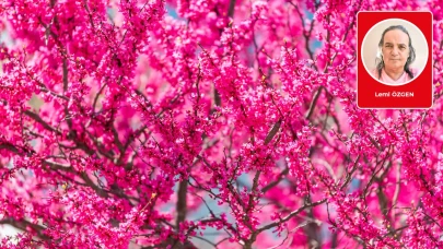 Lemi Özgen yazdı: Erguvan renkli kadınlar ve hayallerim