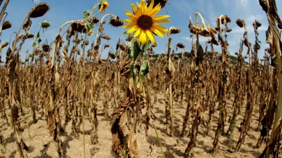 2025 mart ayı, son 35 yılın en kurak dönemi olarak kayıtlara geçti