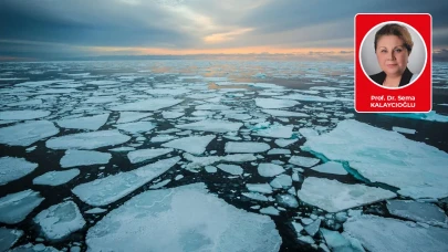 Prof. Dr. Sema Kalaycıoğlu yazdı: Arktik Okyanusunun Tehlikeli Cazibesi