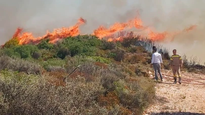 Yunanistan'ın Zakinthos Adası'nda orman yangını çıktı