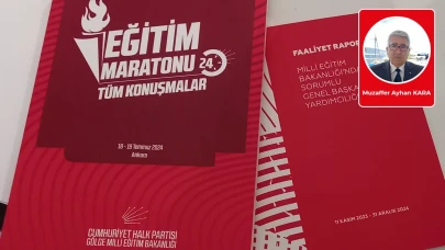 Muzaffer Ayhan Kara yazdı: Bir gölge bakanın çalışmaları ve düşündürdükleri
