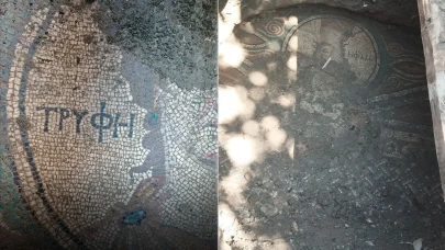 Tokat Zile'de, bahçelerinde Roma mozaiği çıkan baba ve oğul tutuklandı