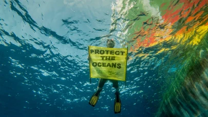 Greenpeace’ten TBMM'ye okyanusları koruma çağrısı