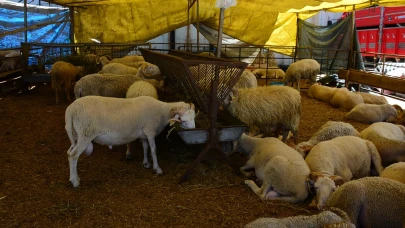 Kurban Bayramı tatili uzatılmadı!