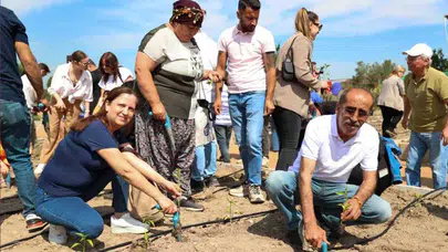 Buca Belediyesi serasına gerçekleştirilen sabotajın sonrasında toplu fide dikimi yapıldı