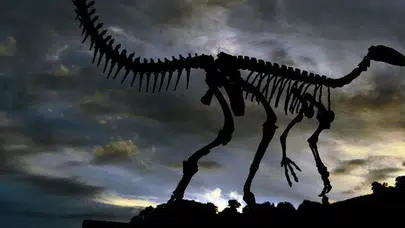 66 milyon yıllık dinozor fosilinde insanlara özgü tümör tespit edildi