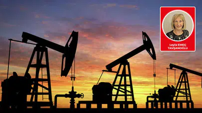 Leyla Emeç Tavşanoğlu yazdı: Vahşi kapitalizm konuştu: “Rejim baskısından bana ne? Kazancıma bakarım.”