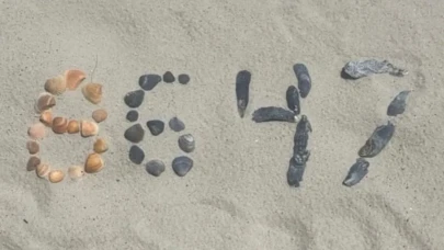 "8647" kodu güvenlik alarmı verdi: Sosyal medyadaki gizemli paylaşım inceleme altında