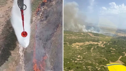 Foça'daki arazide yangın