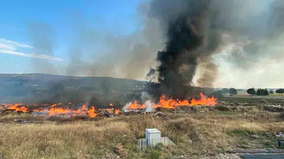 Çanakkale Valiliği, orman yangınlarıyla ilgili 26 kişi hakkında adli işlem başlattı