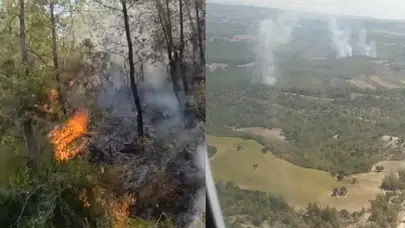 Adana’da orman yangını: Arazöz devrildi, yaralılar var