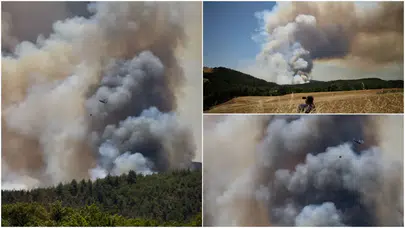 Sakarya Taraklı’da orman yangını: 12 helikopter ve uçakla müdahale, evler tahliye edildi