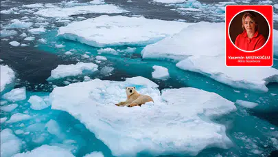 Yasemin Mıstıkoğlu yazdı: Buzullar eriyor mu? Erimiyor mu?