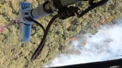 Foça’da orman yangını: Havadan ve karadan müdahale sürüyor