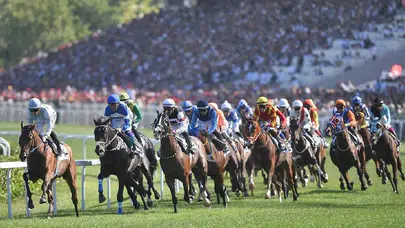 99. Gazi Koşusu'nda kazanan Cutha oldu