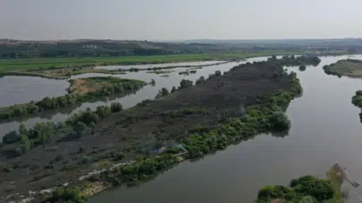 Edirne'de Meriç Nehri kenarındaki adacıkta yangın