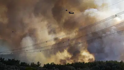 Bir günde 67 orman yangını!