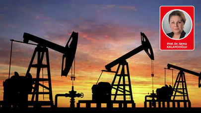 Prof. Dr. Sema Kalaycıoğlu yazdı: Keçinin Can, Kasabın Et Derdi