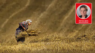 Prof. Dr. Sema Kalaycıoğlu yazdı: Şaşan Ahlaki Pusula, Ticaret ve Siyaset