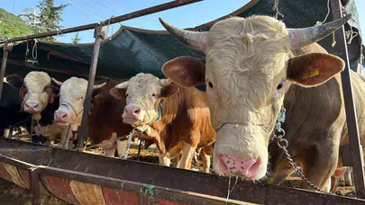 Arefe günü resmi tatil mi? Arefe günü okul ve iş yarım gün mü olacak?