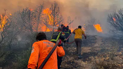 Orman yangınlarında son durum ne?