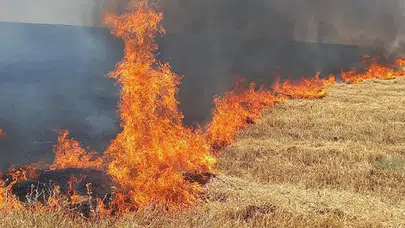 İstanbul İtfaiyesi’nden anız yangını uyarısı: En çok yangın Silivri’de