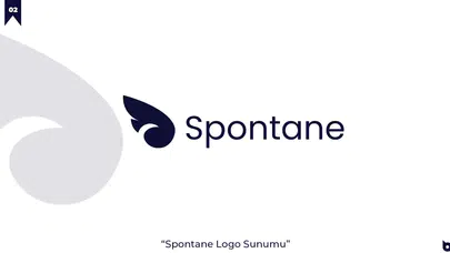 Kısaca Spontane Medya – Kastamonu’nun Sesi’dir