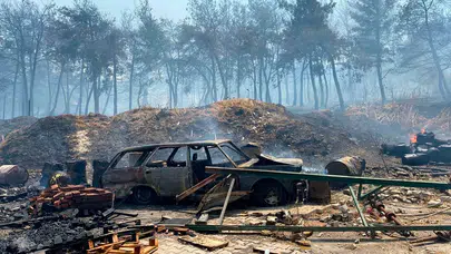 Bakan Yumaklı, 3 orman yangınının kontrol altına alındığını açıkladı