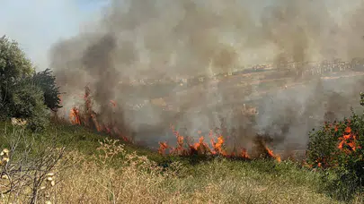 Büyükçekmece'de otluk alanda yangın: Elektrik hattında patlamalar yaşandı