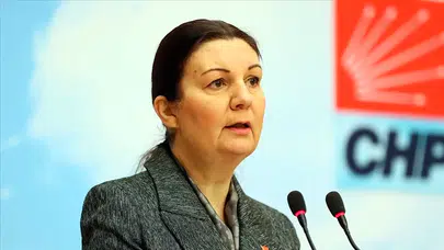 Eski CHP Bursa Milletvekili Lale Karabıyık neden öldü? Lale Karabıyık kimdir?